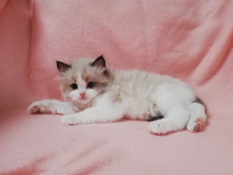 img_20211112_101150z