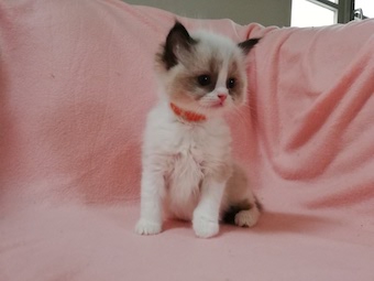 img_20211112_104854o