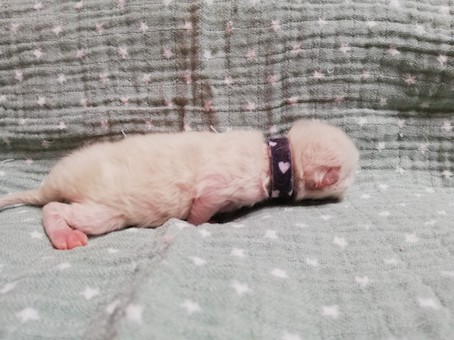 thumbnail_img_20220210_140039