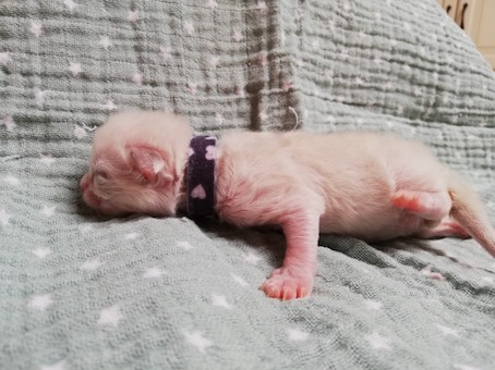 thumbnail_img_20220210_140256