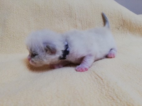 thumbnail_img_20220218_102933