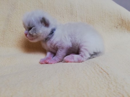 thumbnail_img_20220218_103012