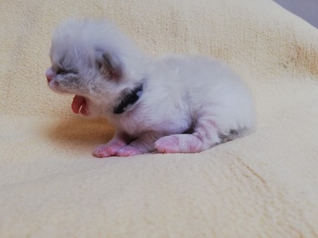 thumbnail_img_20220218_103014