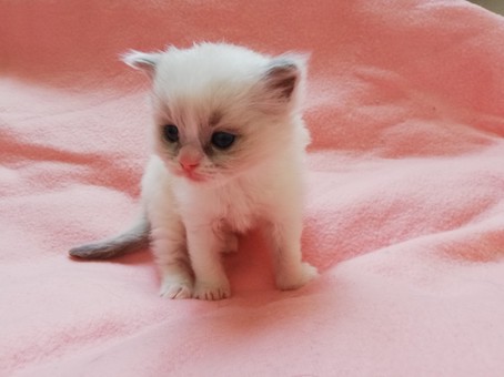 thumbnail_img_20220307_104257_1