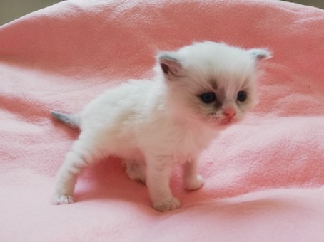 thumbnail_img_20220307_104401