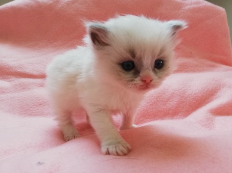 thumbnail_img_20220307_104402