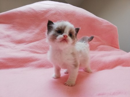 thumbnail_img_20220307_105344_1