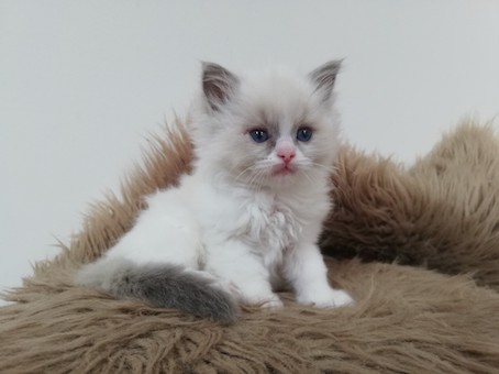 thumbnail_img_20220325_153430