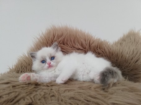 thumbnail_img_20220325_153559