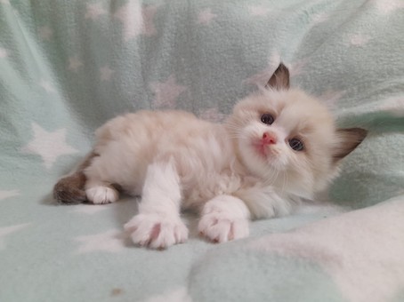 thumbnail_img-20220727-wa0005