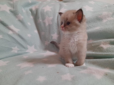 thumbnail_img-20220727-wa0017