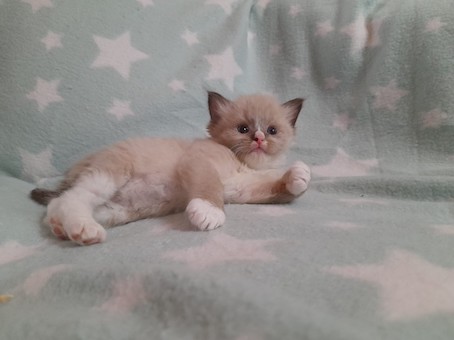 thumbnail_img-20220727-wa0023