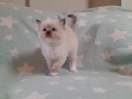 thumbnail_img-20220727-wa0029