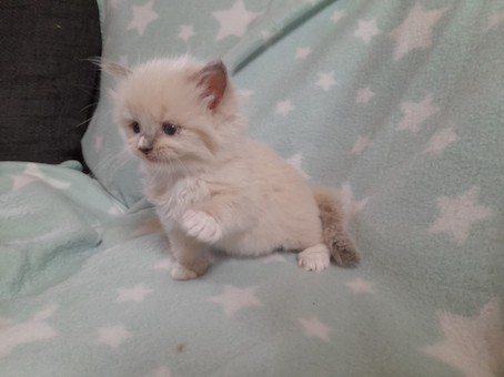 thumbnail_img-20220727-wa0040