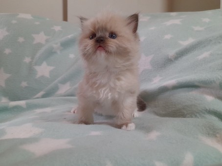 thumbnail_img-20220727-wa0049