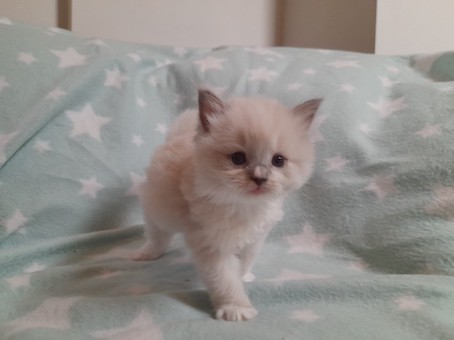 thumbnail_img-20220727-wa0060