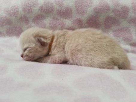 thumbnail_img_20220624_195744