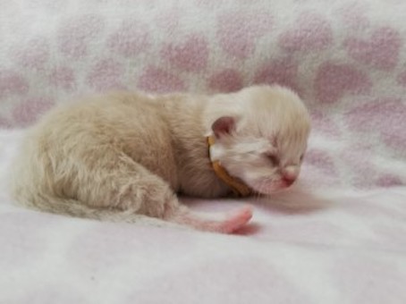 thumbnail_img_20220624_195803