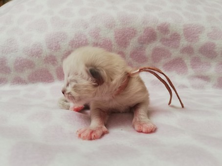 thumbnail_img_20220624_200345