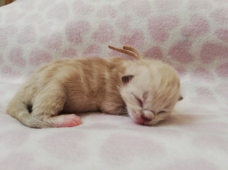 thumbnail_img_20220624_201430