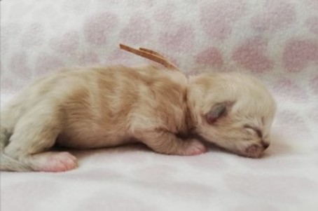 thumbnail_img_20220624_203144