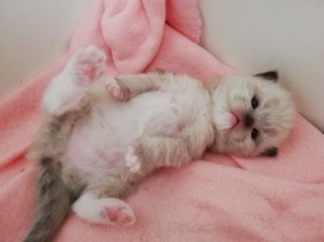 thumbnail_img_20220708_143435