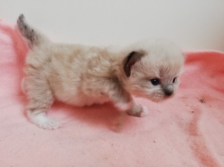 thumbnail_img_20220708_143552