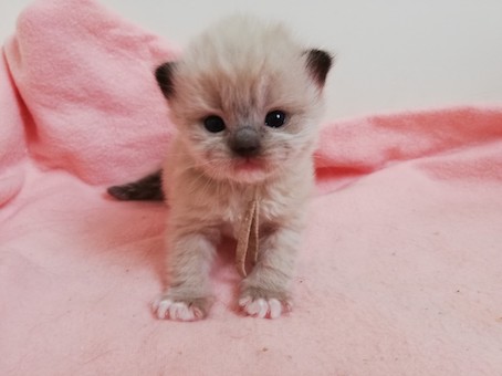 thumbnail_img_20220708_143709