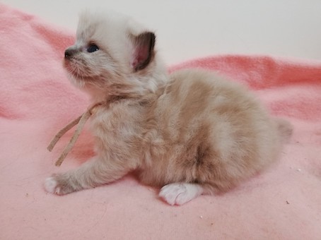 thumbnail_img_20220708_143922