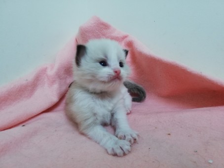 thumbnail_img_20220708_144637