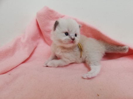 thumbnail_img_20220708_145034