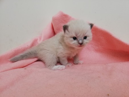 thumbnail_img_20220708_145111