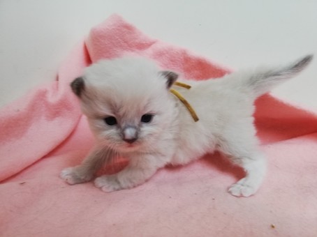 thumbnail_img_20220708_145131