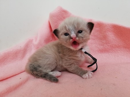 thumbnail_img_20220708_145208