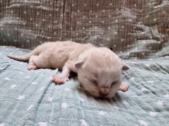 thumbnail_20230219_104711