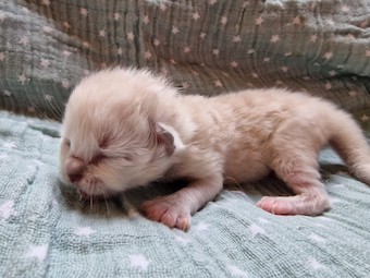 thumbnail_20230219_104914