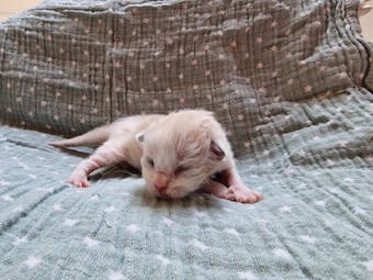 thumbnail_20230219_105139