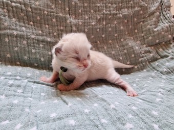 thumbnail_20230219_105212