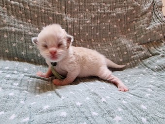 thumbnail_20230219_105213