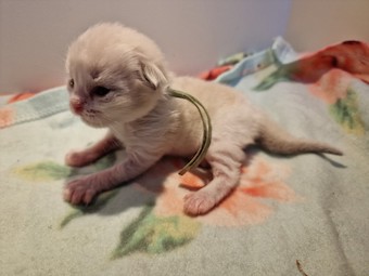 thumbnail_20230224_125356