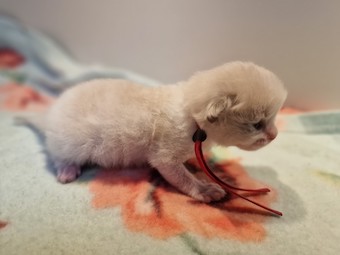 thumbnail_20230224_125643