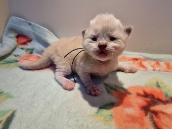 thumbnail_20230224_125820