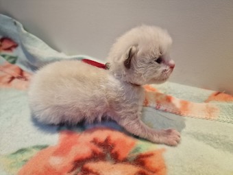 thumbnail_20230224_130045