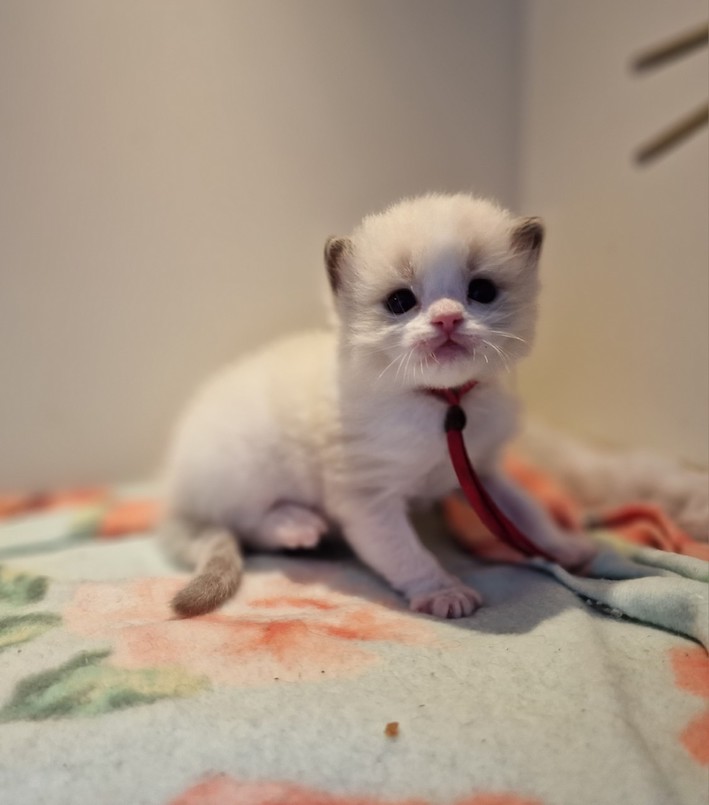 thumbnail_20230306_155300