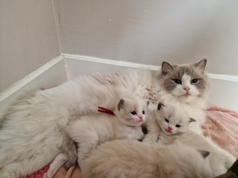 thumbnail_20230309_140146