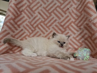 thumbnail_20230324_141451