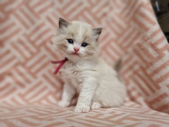 thumbnail_20230324_142312