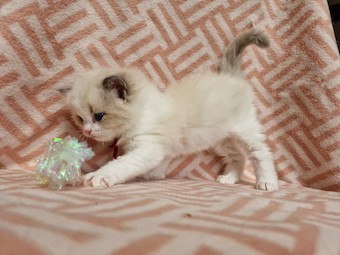 thumbnail_20230324_142330