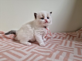 thumbnail_20230425_173915