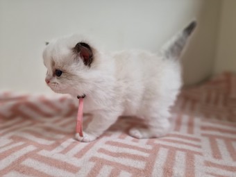 thumbnail_20230425_174131